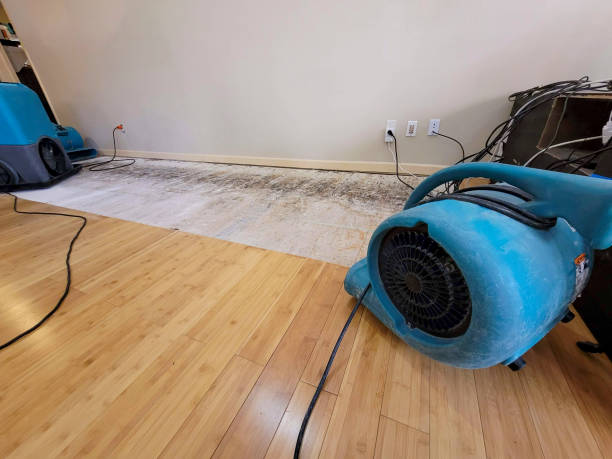 Professional Water Removal technician working in Lowland, NC